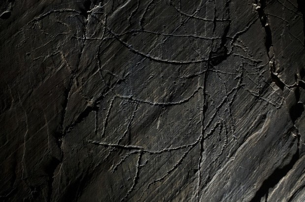 Quando as gravuras de Foz Côa foram descobertas, em 1994, apenas existiam “um ou dois sítios” de arte rupestre ao ar livre. Foto: PAULO PIMENTA