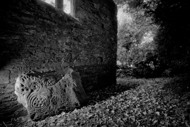 Open-air passage tomb rock-art: a moss-covered boulder at Forenaghts, Co. Kildare, now resting against the gable end of ruined medieval church. (Photograph by Ken Williams. Copyright reserved.)