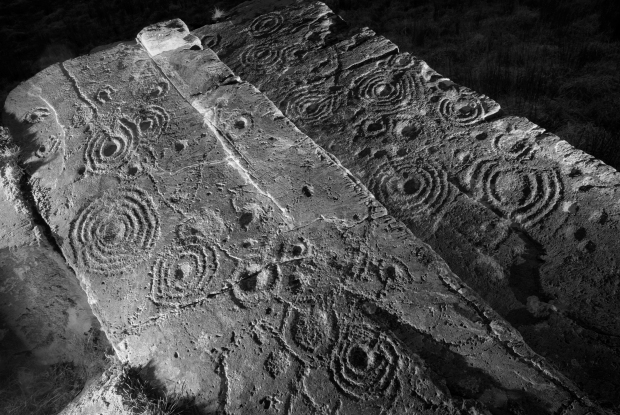 The most highly decorated panel of rock-art in the Derrynablaha group of carvings, Co. Kerry: a recent photograph demonstrates that the condition of the carvings remains relatively unchanged since the panel was recorded and photographed in the 1960s. (Photograph by Ken Williams. Copyright reserved.)
